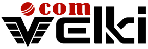 Velki Logo